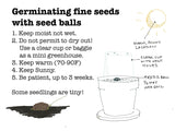 Common Thyme Seed Balls