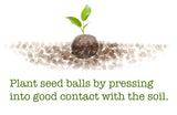 Evergreen White Bunching Onion Seed Balls