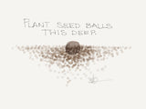 Dalea purpurea, Purple Prairie Clover Seed Balls - Seed-Balls.com
 - 4