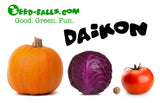 Daikon Seed Balls (Asian White Radish) - Seed-Balls.com
 - 5