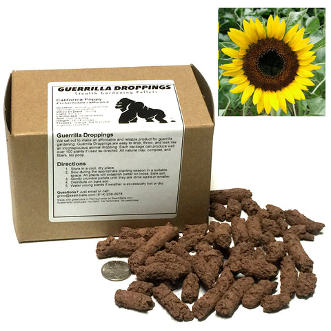Sunflower Guerrilla Droppings (Helianthus annuus, Black Oil) - Seed-Balls.com
 - 1