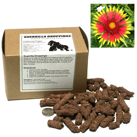 Indian Blanketflower Guerrilla Droppings (Gaillardia pulchella) - Seed-Balls.com
 - 1