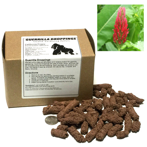 Crimson Clover Guerrilla Droppings (Trifolium incarnatum) - Seed-Balls.com
 - 1