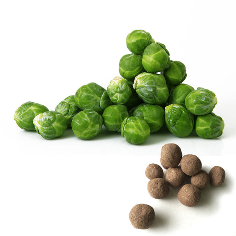 Brussels Sprouts Seed Balls