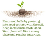 Cabbage Seed Balls (Red Acre) - Seed-Balls.com
 - 4