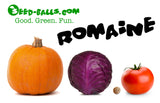 Romaine Lettuce Seed Balls - Seed-Balls.com
 - 6