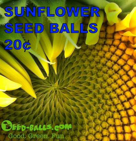Sunflower Seed Balls, 20¢