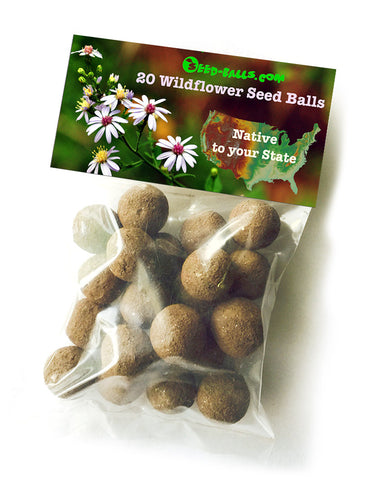 20 Native to your State Seed Balls