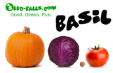 Basil Seed Balls (Thai) - Seed-Balls.com
 - 6