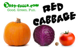 Cabbage Seed Balls (Red Acre) - Seed-Balls.com
 - 6