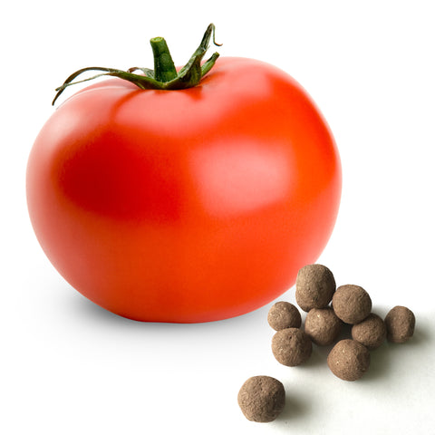 Tomato Seed Balls - Seed-Balls.com
 - 1