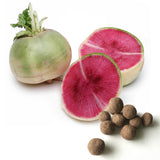 Radish Seed Balls (Watermelon Radish) - Seed-Balls.com
 - 1